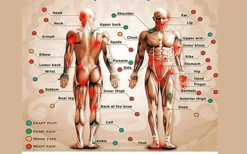 Read more about the article Least Painful Tattoo Placements for First-Timers