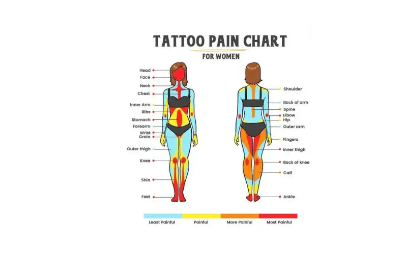 Read more about the article Tattoo Pain Chart: Which Areas Hurt the Most?